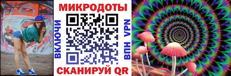 где найти наркотики  Никольск  Псилоцибиновые грибы мухоморы 